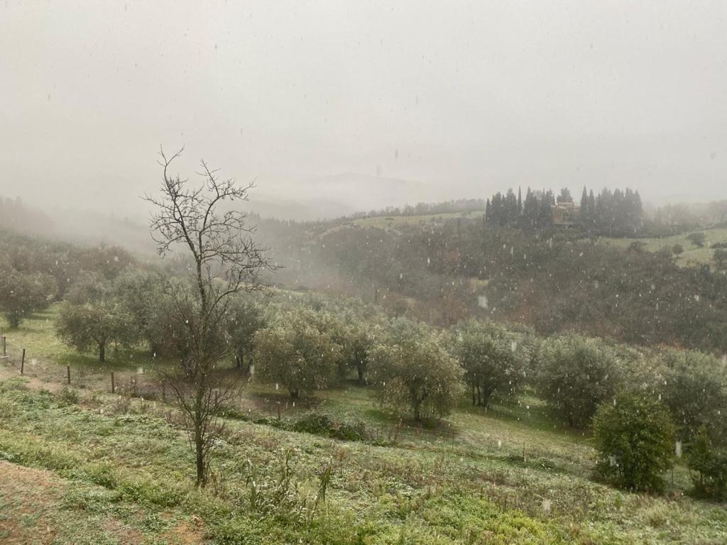 מלון Tavarnelle Val di Pesa Campora House מראה חיצוני תמונה